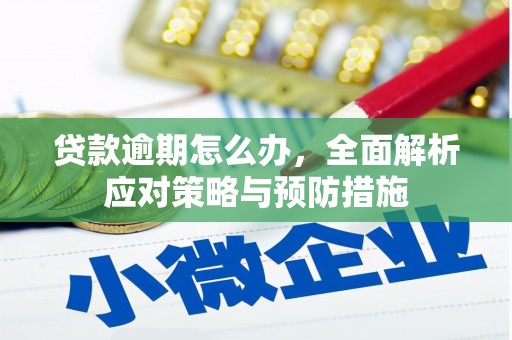公安贷款逾期怎么办，全面解析应对策略与预防措施