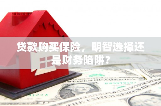 云梦贷款购买保险，明智选择还是财务陷阱？