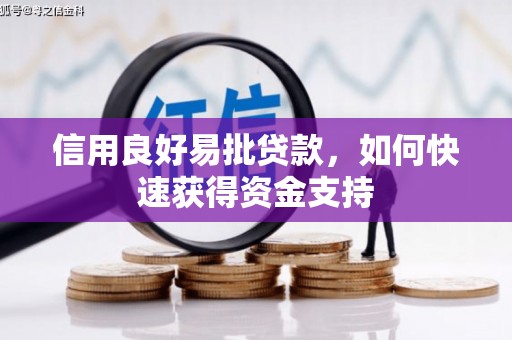 林园信用良好易批贷款，如何快速获得资金支持