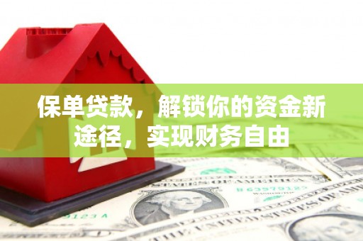 柳河保单贷款，解锁你的资金新途径，实现财务自由