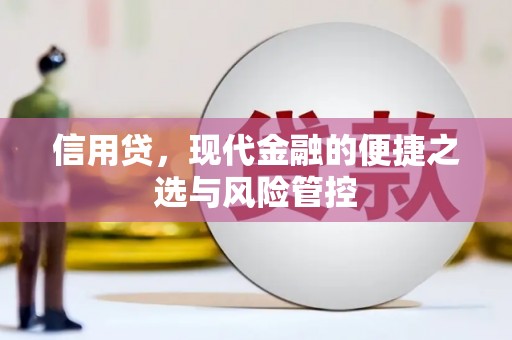 桦南信用贷，现代金融的便捷之选与风险管控