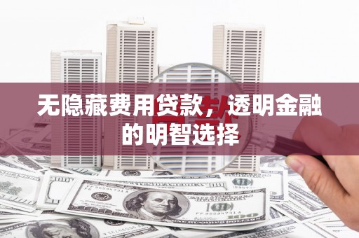 荔波无隐藏费用贷款，透明金融的明智选择