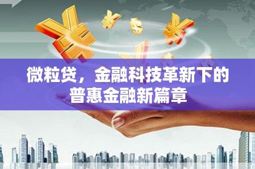 巧家微粒贷，金融科技革新下的普惠金融新篇章