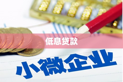贺兰低息贷款