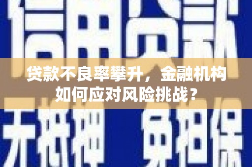 木里贷款不良率攀升，金融机构如何应对风险挑战？