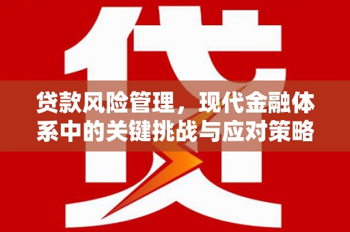 中站贷款风险管理，现代金融体系中的关键挑战与应对策略