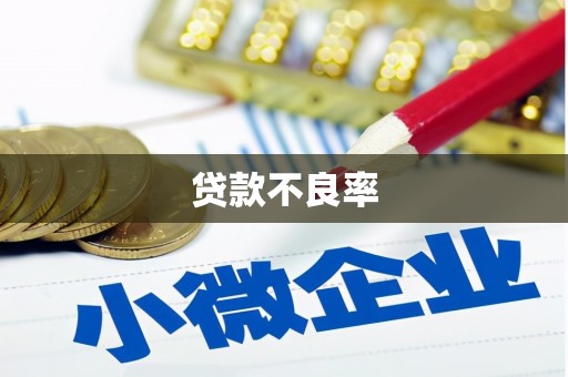 宁南贷款不良率