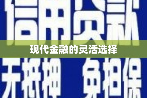 广水现代金融的灵活选择