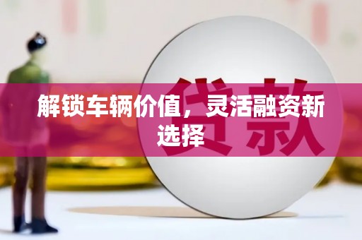 扶绥解锁车辆价值，灵活融资新选择