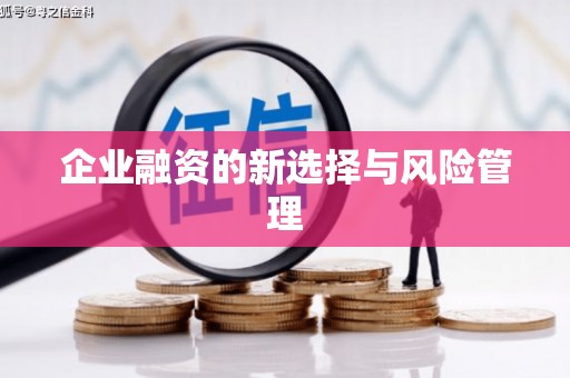 彬县企业融资的新选择与风险管理