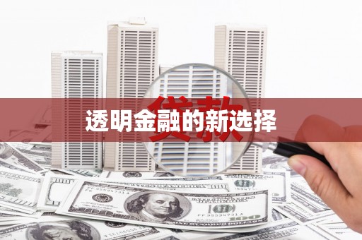 白碱滩透明金融的新选择