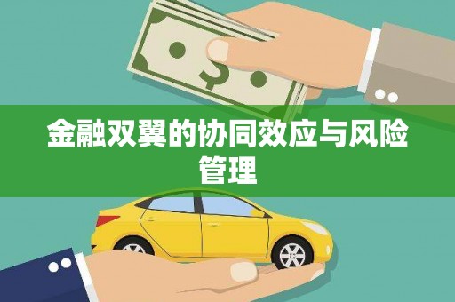 东至金融双翼的协同效应与风险管理